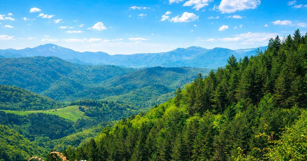 Road Trip to Dilijan, Armenia