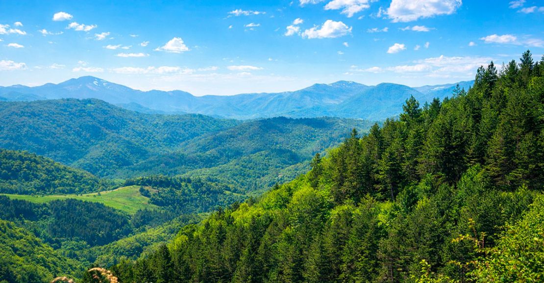 Road Trip to Dilijan, Armenia