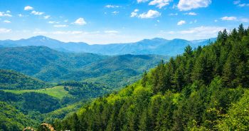 Road Trip to Dilijan, Armenia